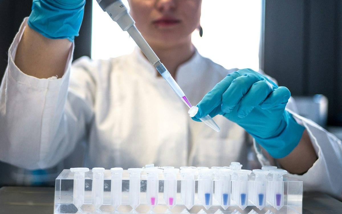 Laboratory work in progress