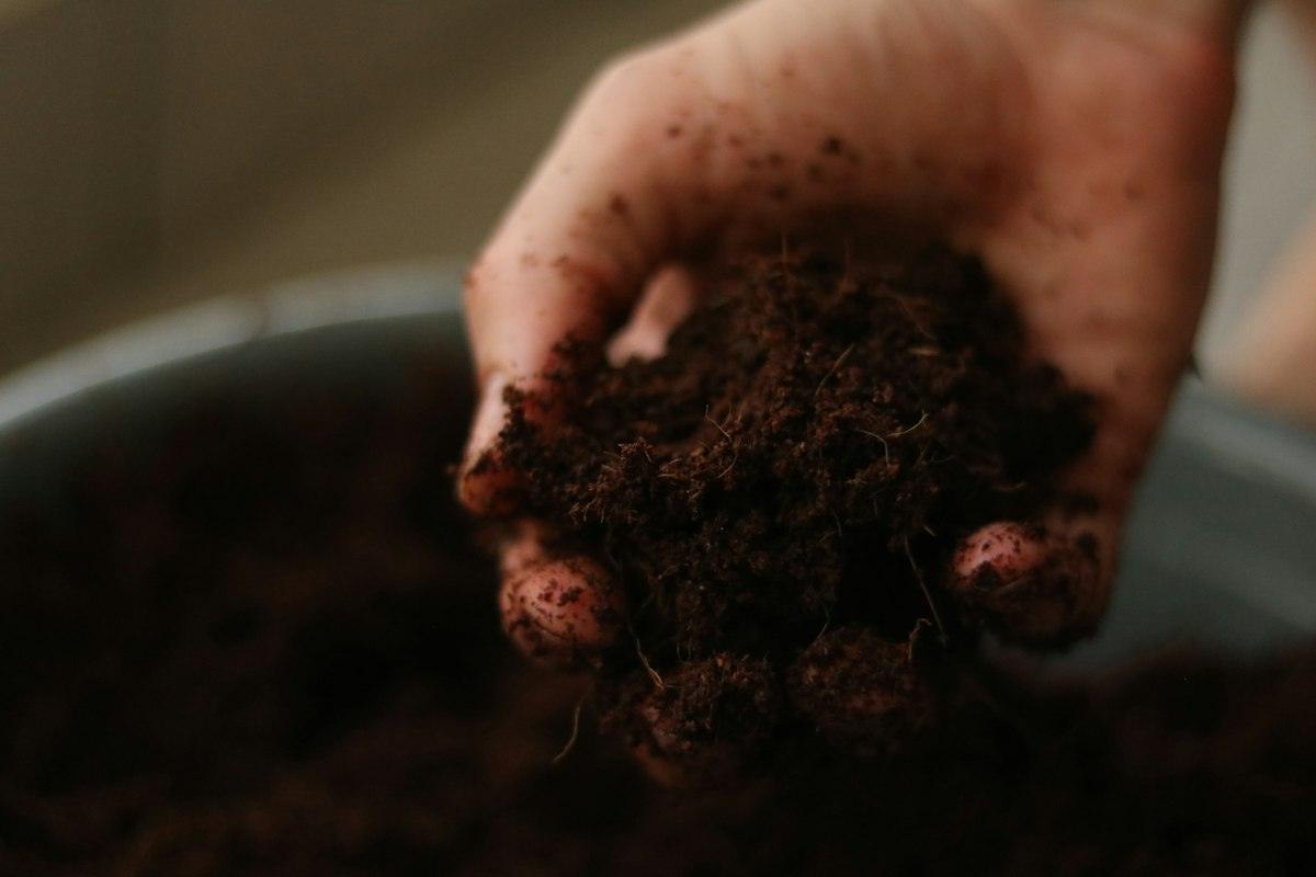 A hand holding a clump of dark soil